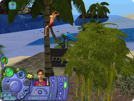 is the sims 2 castaway multiplayer