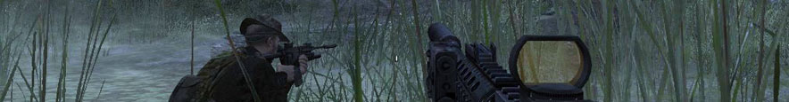 Taking aim in a marsh.