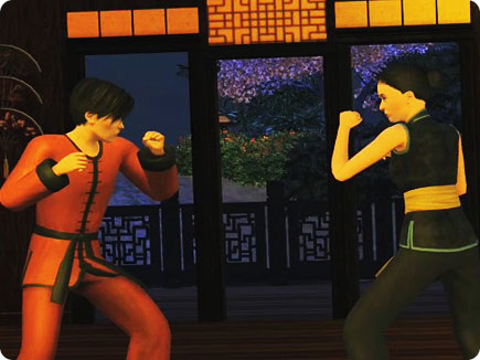 Sims fighting with martial arts.